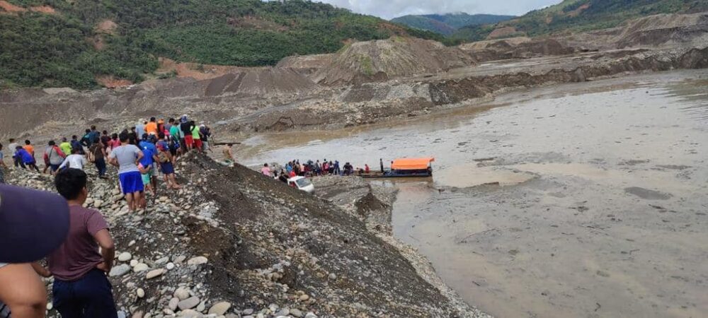 Lanzan campaña para apadrinar o amadrinar tortuguitas en Beni